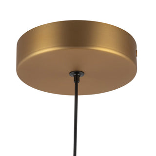 PD616109BGOP UNV