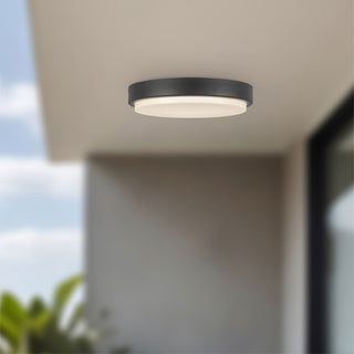 Bailey 9 in Exterior Ceiling