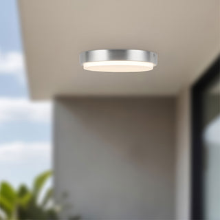 Bailey 9 in Exterior Ceiling