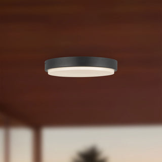 Bailey 11 in Exterior Ceiling