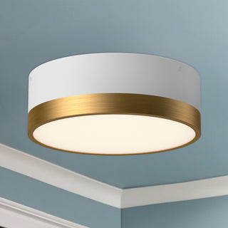 Brisbane 12 in Flush Mount