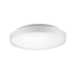 Brunswick 18 in Flush Mount
