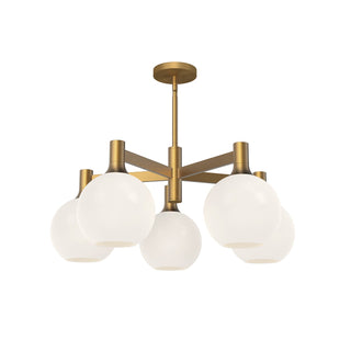 Castilla 29 in Chandelier
