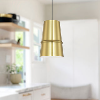 Castor 8 in Pendant