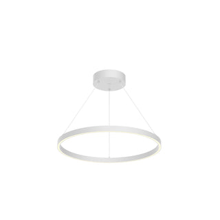 PD87124 WH UNV 010