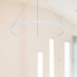 PD87132 WH