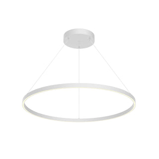 PD87136 WH