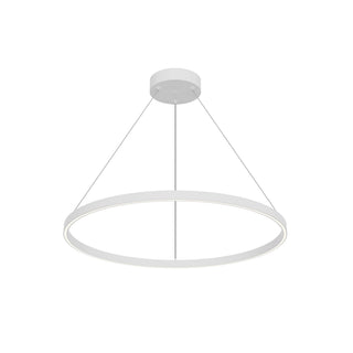 PD87732 WH UNV 010