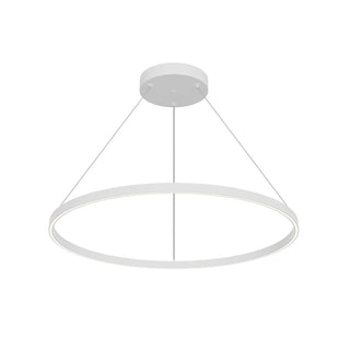 PD87736 WH UNV 010
