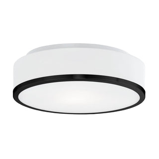 Charlie 12 in Flush Mount