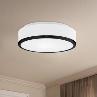 Charlie 12 in Flush Mount