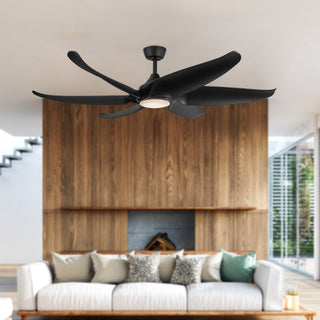 CF90960 MB