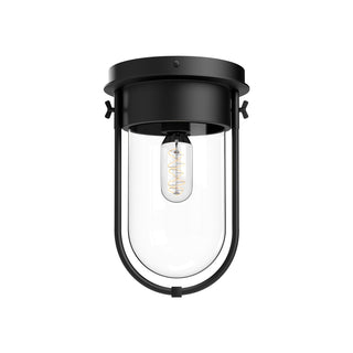 Cyrus 8 in Flush Mount