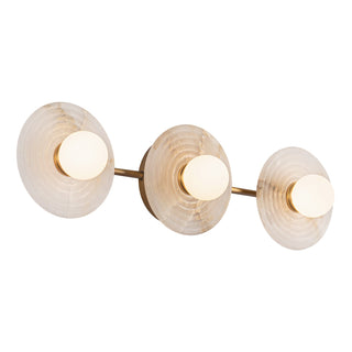 Dahlia 22 in Wall/Vanity Light