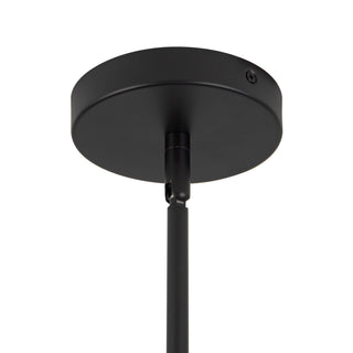 Eira 12 in Black Pendant with Clear Water Glass