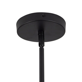 Eira 16 in Black Pendant with Clear Water Glass