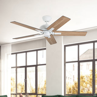 Erikson 52 in Ceiling Fan