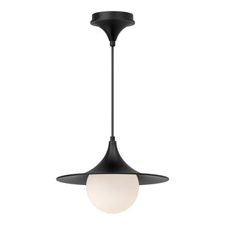 Fuji 12 in Pendant