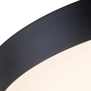 Hale 20 in Black Dimmable LED Flush Mount