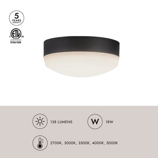 Hugo 5 in Fan Light Kit