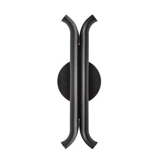 Husk 14 in Wall Sconce