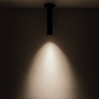 LD2 SM12W12 3036 BK UNV 010