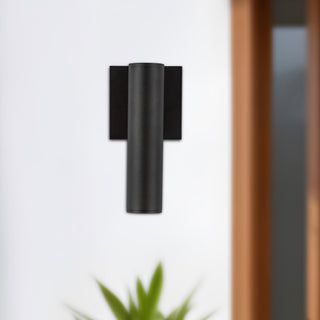 Lorna 9 in (2 in Dia.) Interior/Exterior Wall Sconce