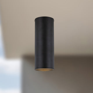 Lorna 12 in (4 in Dia.) Flush Mount