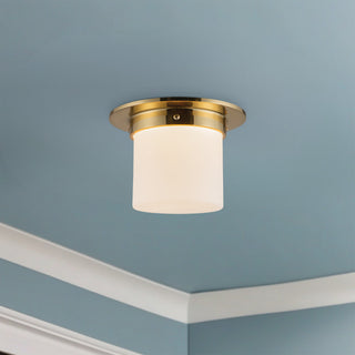 Mineral 5 in (8 in Dia.) Flush Mount