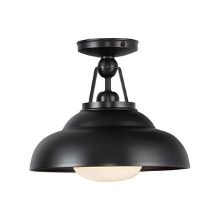 Palmetto 12 in Semi Flush Mount