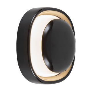 Pebble 8 in Wall Sconce