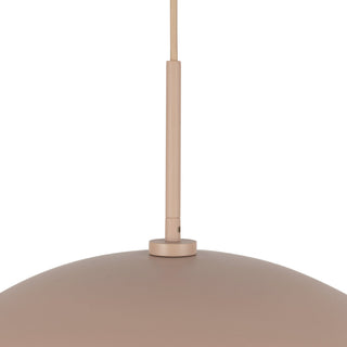 PD56019 PEC