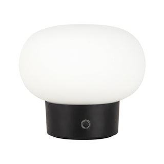 Rinae 5 in Matte Black Dimmable LED Table Lamp