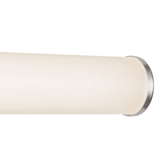WS36 044A BN