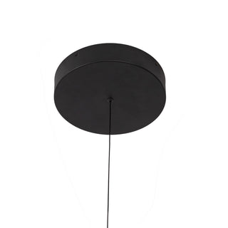 LP17915 BK UNV 010 RT