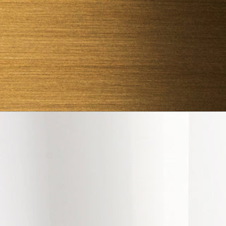 Ledger 20 in Vanity Light