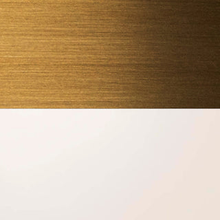 Umbra 14 in (6 in Height) Semi Flush Mount
