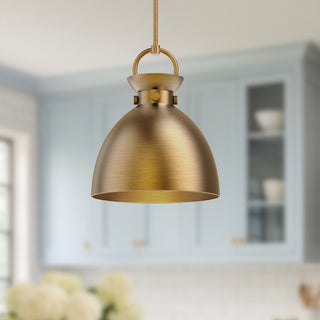 Waldo 14 in Pendant