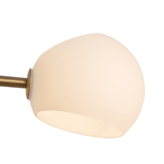 LP548848BGOP