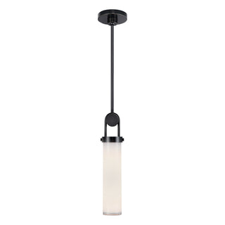 PD355015UBGO